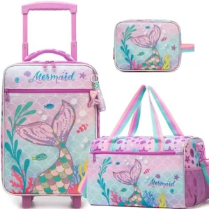 Luggage Set